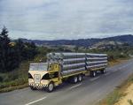 Peterbilt 352 6x4 1969 года (NA)